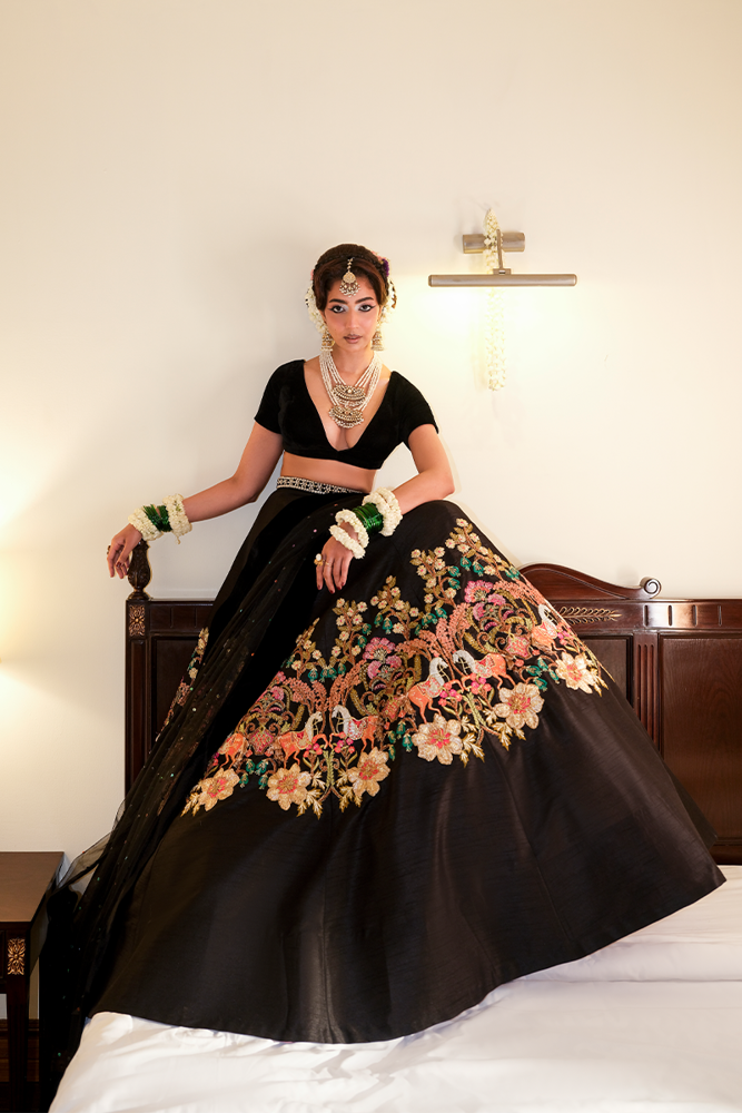 Picture of Midnight Haseena